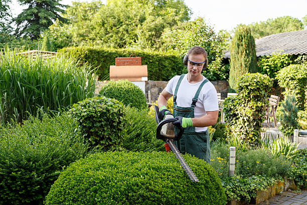 Best Lawn Watering Services  in Avilla, IN